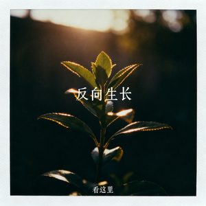 反向生长