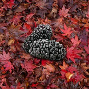 мої листя опадають :(