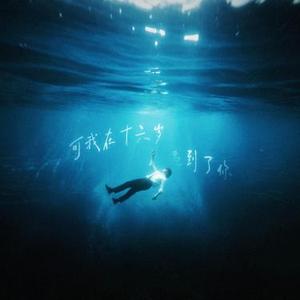 可我在十六岁遇到了你 (结果 Remix)