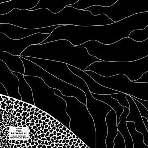 Your Birthright (Ayako Mori Remix)