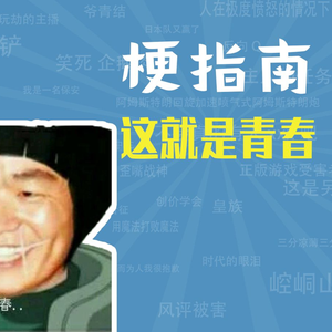 这就是青春是什么梗【梗指南】