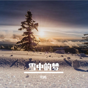 雪中的梦