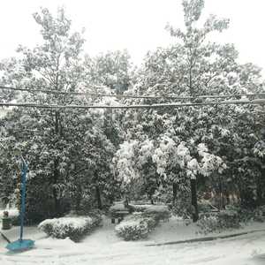 午夜钟声响-第五人格