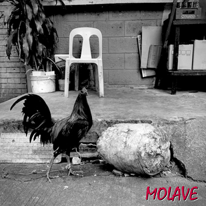 Molave