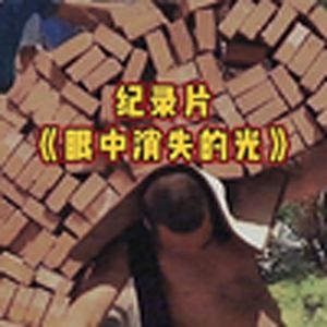 大型纪录片《眼中消失的光》