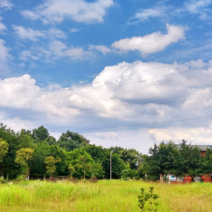 水边的阿狄丽娜（双吉他）