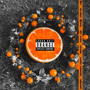 We Didn't Meet At The Club (feat. CeeLo Green)