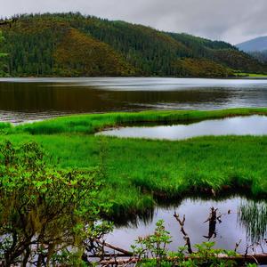 希望你被这个世界爱着