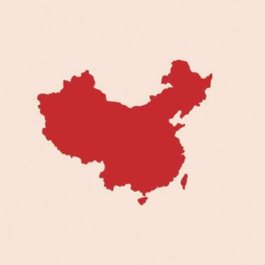 S.H.E-中国话（DJ Coffee Hard Dance Bootleg）