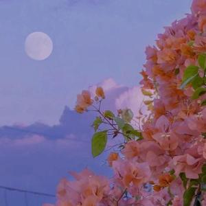 伊敏河家乡的河