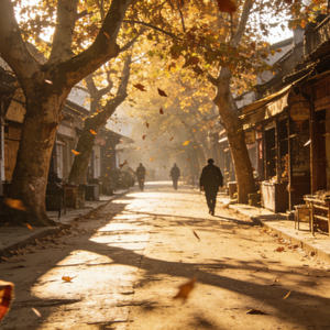 记住整条街的风