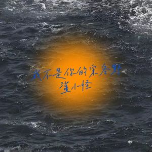 我不是你的宋冬野