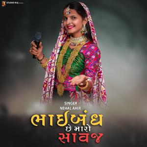 Bhaibandh Che Maro Savaj | ભાઈબંધ છે મારો સાવજ