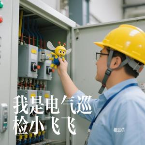 我是电气巡检小飞飞