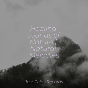 Tranquil Ascent of Heights