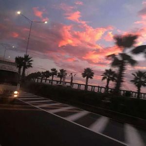 Seni Oylap （想你）