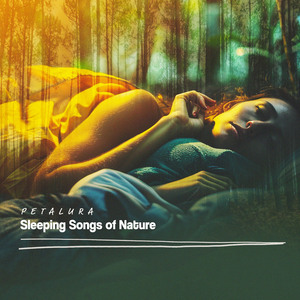 Sweet Tweets in Rainy Weather