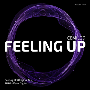 Feeling Up (Original Mix)