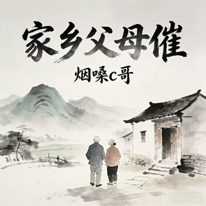 家乡父母催（想家了）