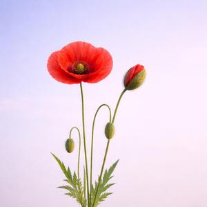 이보다 더 어떻게