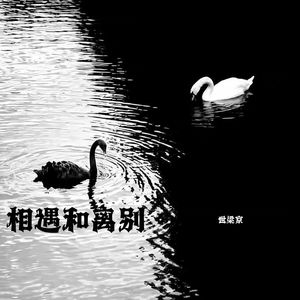 过山峰还是塘角鱼