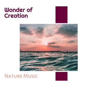 Spring Time Downpour