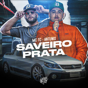 Saveiro Prata