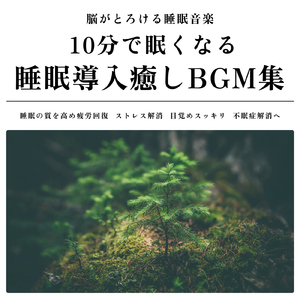 勉強用 雨とギターのBGM (森)