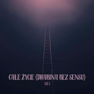 Całe życie (drabina bez sensu)
