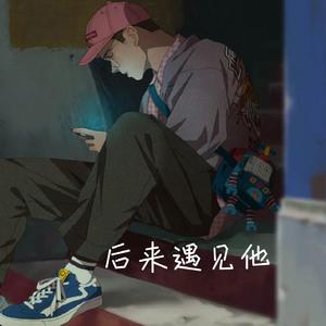 后来遇见他（男版伴奏）