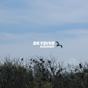 Skydive