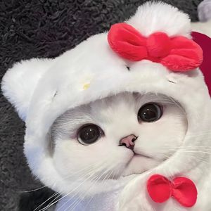 恶作剧(合唱版)