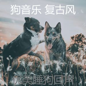 微妙的小狗心情