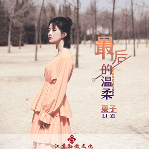 最后的温柔 (DJ版)