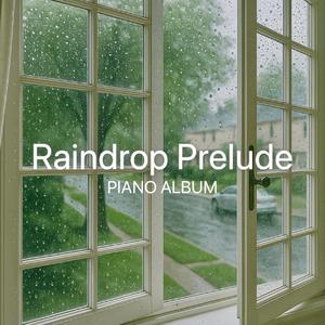 Silent Puddles 고요한 웅덩이