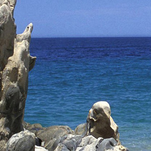 你要敢在4月1号愚人节那天骗我