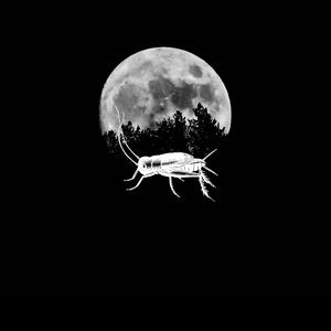 スリープサウンドループ