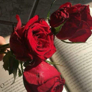 suyup kaldig （爱）