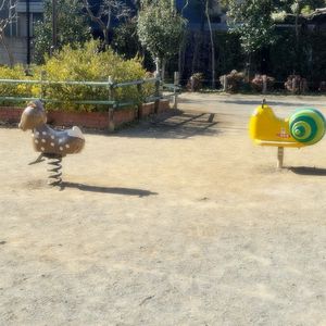活在梦里