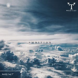 Ambition