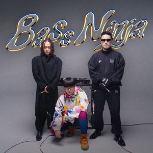 Bass Ninja (feat. Red Eye & ACE COOL)