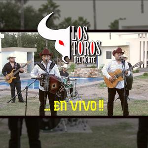 Las flores que tu me diste