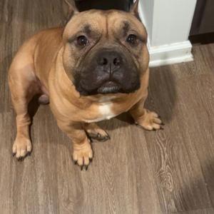 Distorted (feat. B Lott)