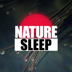 Summer Rain (Original Mix)