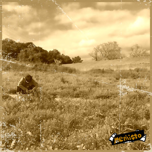 ビビディ・バビディ・ブー