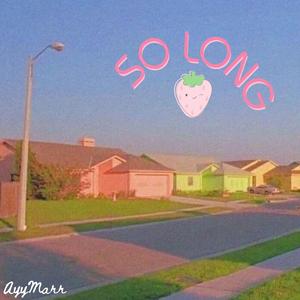 SO LONG...