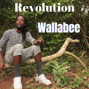 Revolution