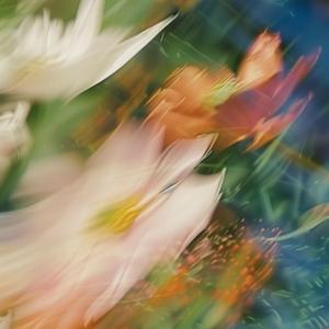 Dreams That Fade with Dawn