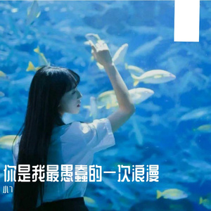 房东的猫-你是我最愚蠢的一次浪漫（小7 remix）