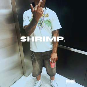 Shrimp